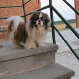 Roberta
