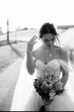 Caterina