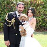 Angi