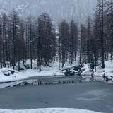 Francesca