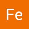 Fe Ca