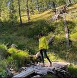 Martina