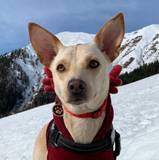 Luca