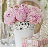 Rosa Confetto