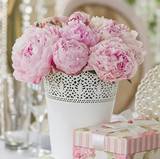 Rosa Confetto