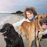 Elisa