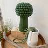 Debora