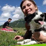 Elisa