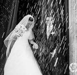 Dario
