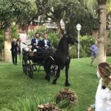 Salvatore