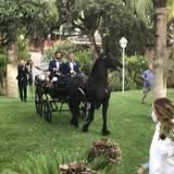 Salvatore