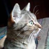 Tania