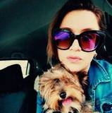 Francy