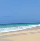 STEFANO