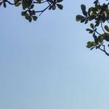 Loc_95