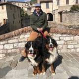 Francesco