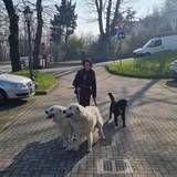 Ilaria