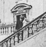 Rosignolo