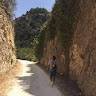 Domenico