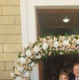 Antonia