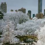 Jessica