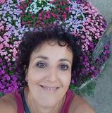 Aglaia