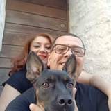 Pugliese