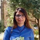 Mauriello