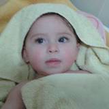 Domenico
