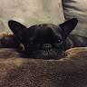 Sofi
