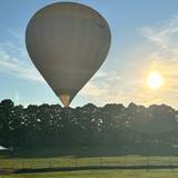 Sandro