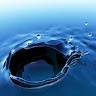 Sharon