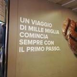 Pina