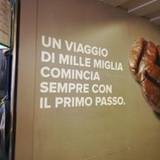 Pina