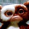 Gizmo