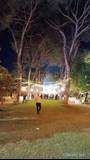 M.