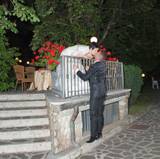 Olga