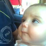 Santo
