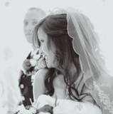 Elisa
