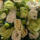 Martina