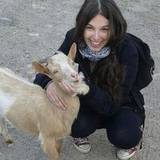 Elisa