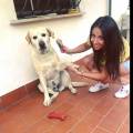 Flavia