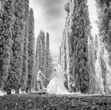 Tommaso