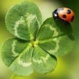Gra