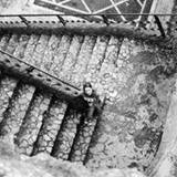 Clizia