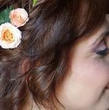 Elisa