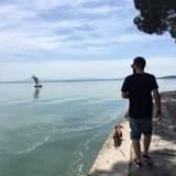 Daniele