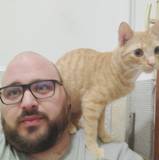 Lorenzo