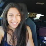 Elisa