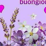 Concetta